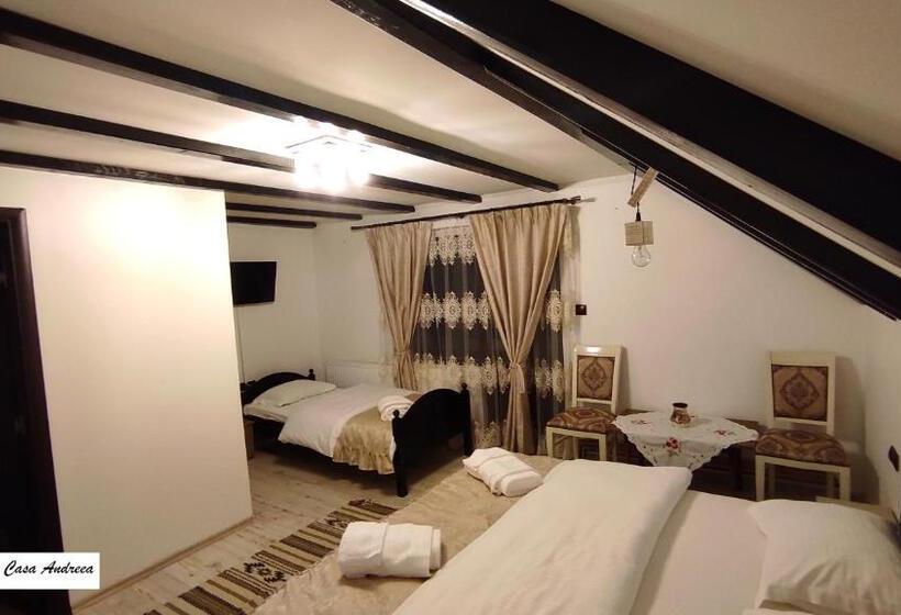 Pensiunea Casa Andreea   Bârsana Maramureș