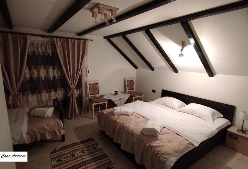 Pensiunea Casa Andreea   Bârsana Maramureș