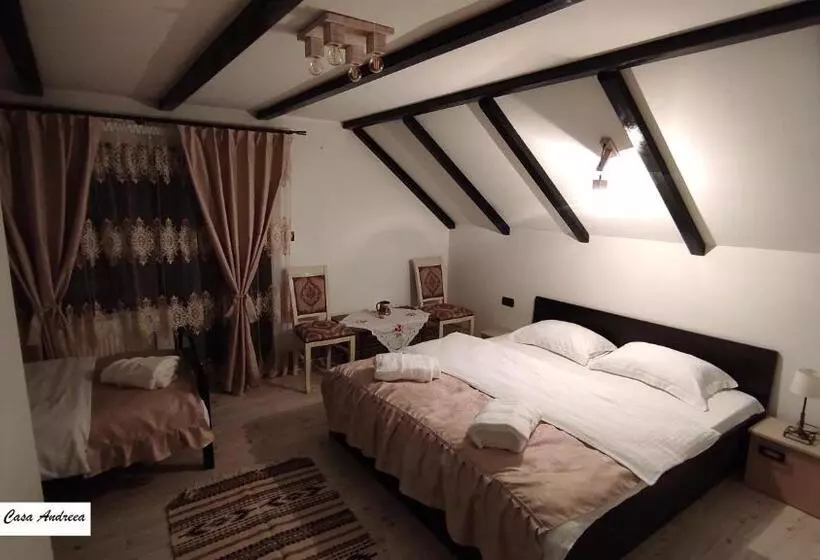 Pensiunea Casa Andreea   Bârsana Maramureș