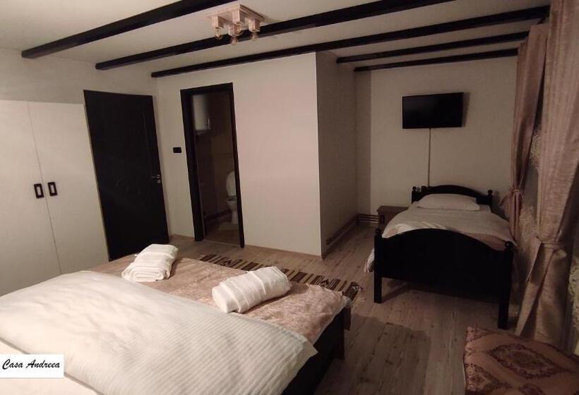 Pensiunea Casa Andreea   Bârsana Maramureș