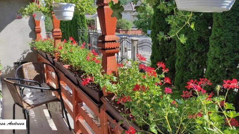 Pensiunea Casa Andreea   Bârsana Maramureș