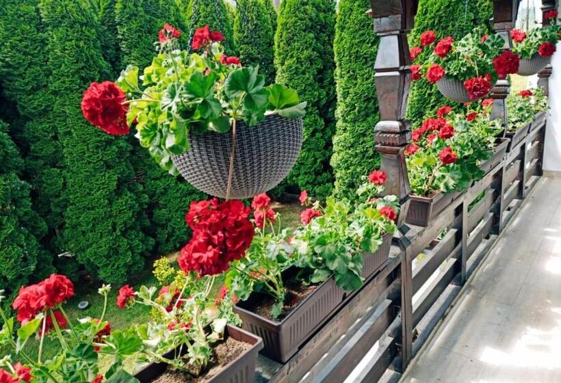 Pensiunea Casa Andreea   Bârsana Maramureș