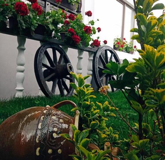 Pensiunea Casa Andreea   Bârsana Maramureș