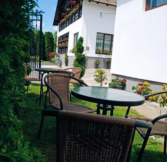 Pensiunea Casa Andreea   Bârsana Maramureș