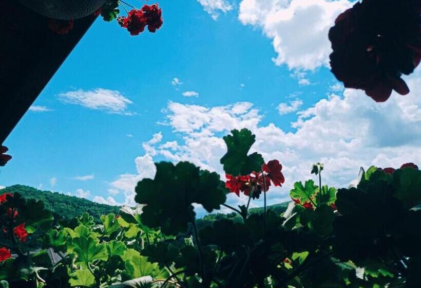 Pensiunea Casa Andreea   Bârsana Maramureș