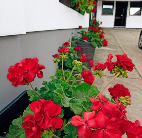 Pensiunea Casa Andreea   Bârsana Maramureș