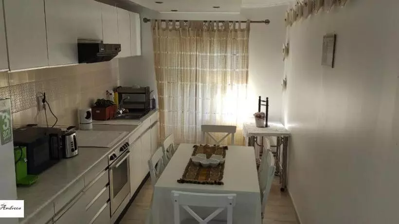 Pensiunea Casa Andreea   Bârsana Maramureș