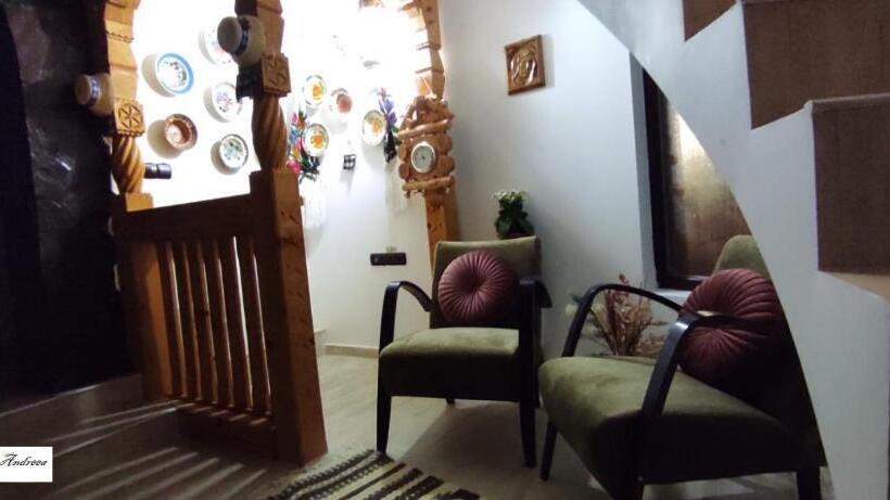 Pensiunea Casa Andreea   Bârsana Maramureș