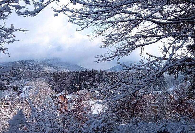 Spacieux Gîte Vosgien 3 épis Pour 4 Pers, Randonnées Et Vtt, Environnement Calme Et Verdoyant Fr 1