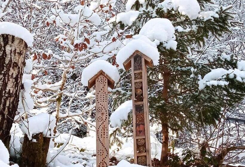 Spacieux Gîte Vosgien 3 épis Pour 4 Pers, Randonnées Et Vtt, Environnement Calme Et Verdoyant Fr 1