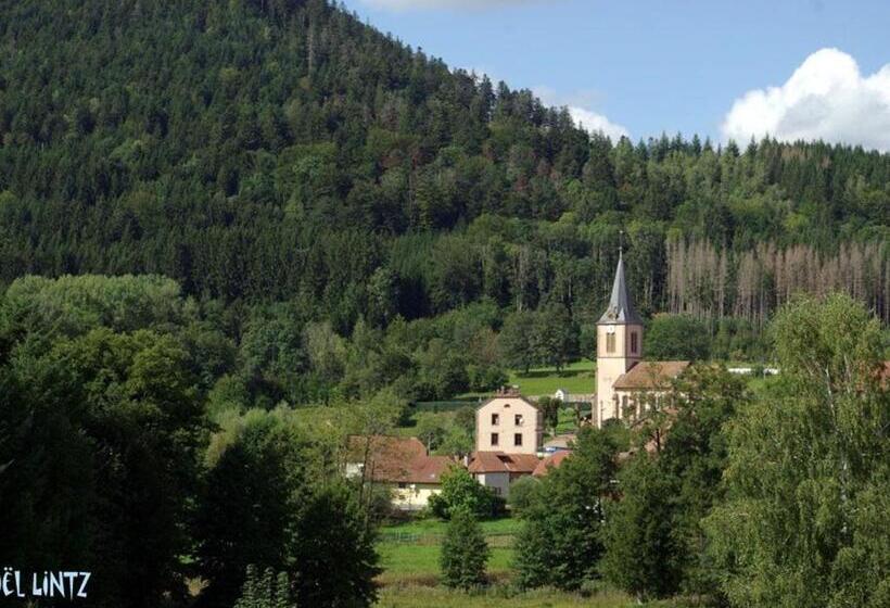 Spacieux Gîte Vosgien 3 épis Pour 4 Pers, Randonnées Et Vtt, Environnement Calme Et Verdoyant Fr 1