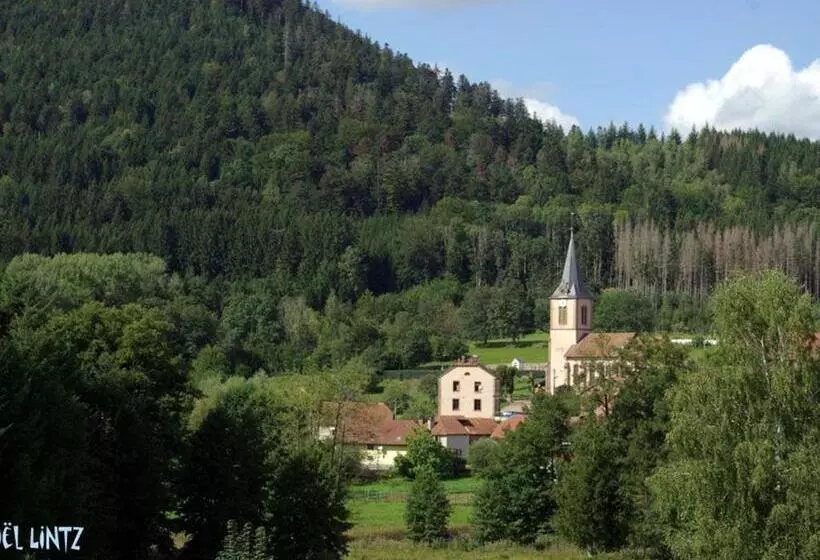Spacieux Gîte Vosgien 3 épis Pour 4 Pers, Randonnées Et Vtt, Environnement Calme Et Verdoyant   Fr 1