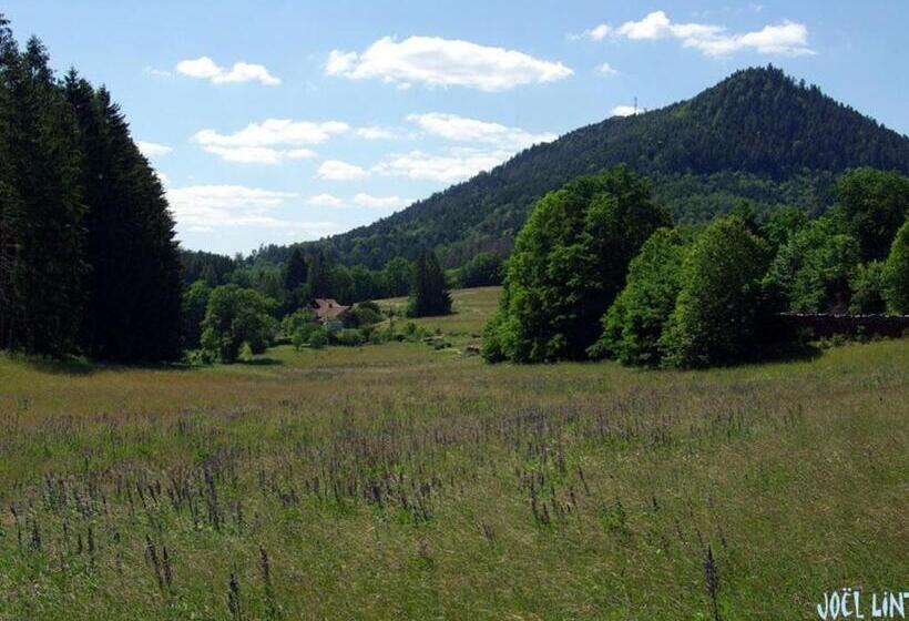 Spacieux Gîte Vosgien 3 épis Pour 4 Pers, Randonnées Et Vtt, Environnement Calme Et Verdoyant Fr 1