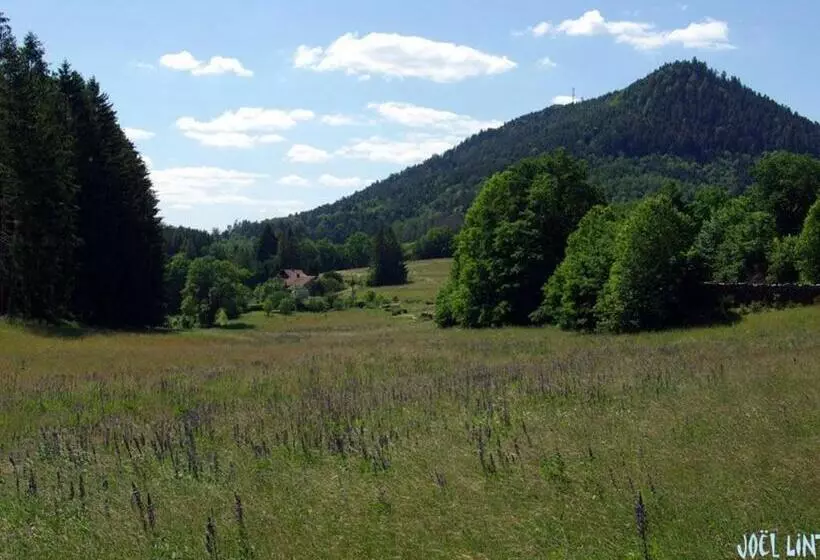 Spacieux Gîte Vosgien 3 épis Pour 4 Pers, Randonnées Et Vtt, Environnement Calme Et Verdoyant   Fr 1