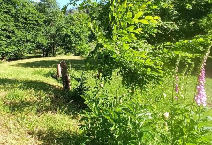 Spacieux Gîte Vosgien 3 épis Pour 4 Pers, Randonnées Et Vtt, Environnement Calme Et Verdoyant Fr 1