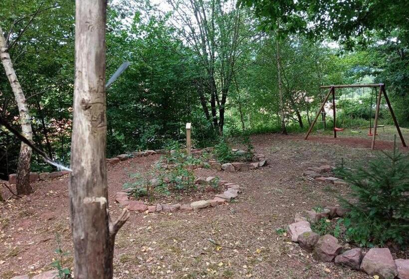 Spacieux Gîte Vosgien 3 épis Pour 4 Pers, Randonnées Et Vtt, Environnement Calme Et Verdoyant Fr 1