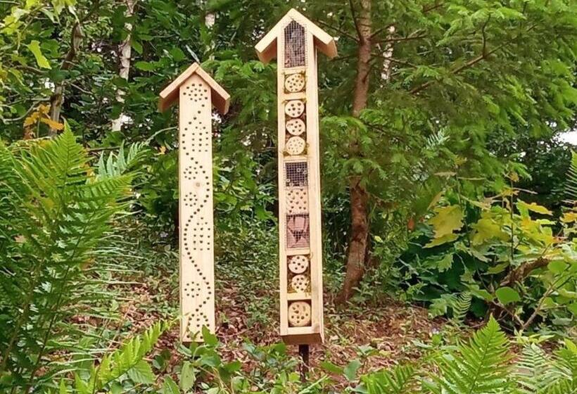 Spacieux Gîte Vosgien 3 épis Pour 4 Pers, Randonnées Et Vtt, Environnement Calme Et Verdoyant Fr 1