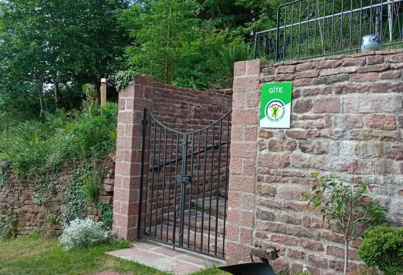 Spacieux Gîte Vosgien 3 épis Pour 4 Pers, Randonnées Et Vtt, Environnement Calme Et Verdoyant   Fr 1