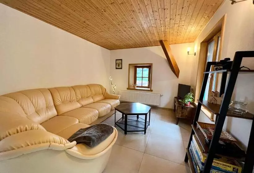 Spacieux Gîte Vosgien 3 épis Pour 4 Pers, Randonnées Et Vtt, Environnement Calme Et Verdoyant   Fr 1