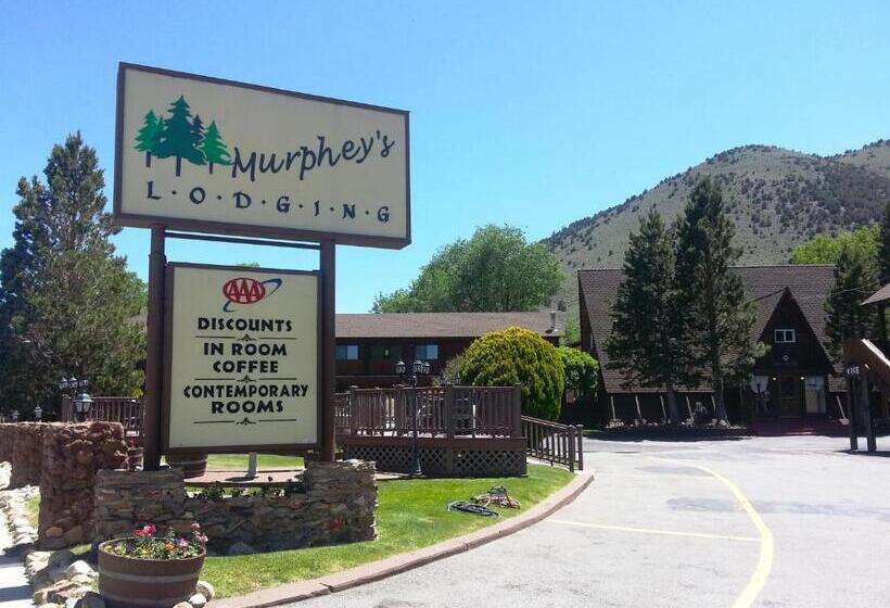 Murphey S Motel Llc