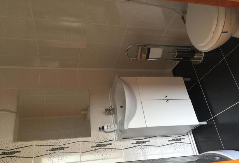 Пансион Casa Elena Eselnita