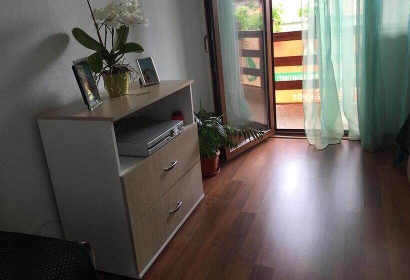 Пансион Casa Elena Eselnita