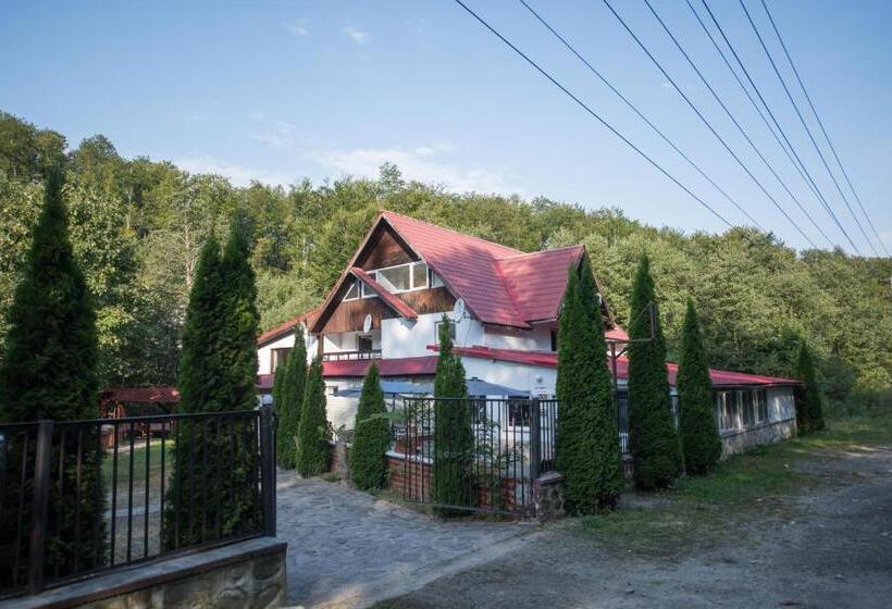 פנסיון Popas Balea Rau