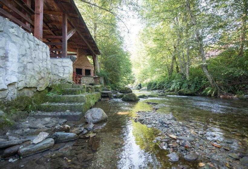 פנסיון Popas Balea Rau