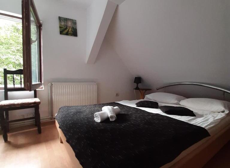 פנסיון Popas Balea Rau