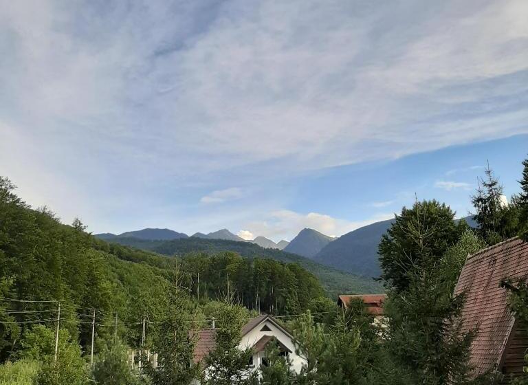 פנסיון Popas Balea Rau