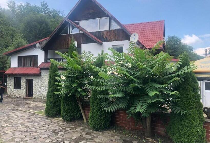 פנסיון Popas Balea Rau