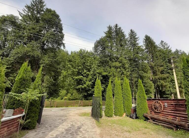 פנסיון Popas Balea Rau