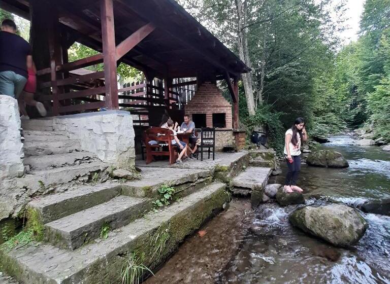 פנסיון Popas Balea Rau