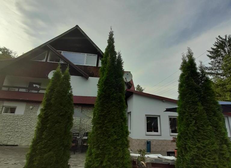 פנסיון Popas Balea Rau