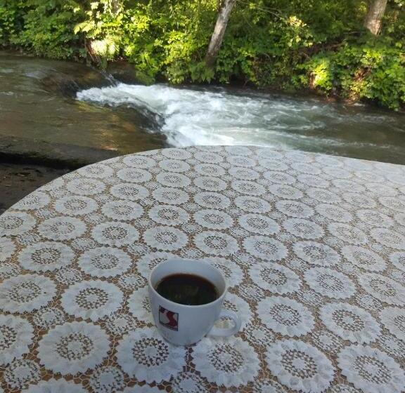 פנסיון Popas Balea Rau