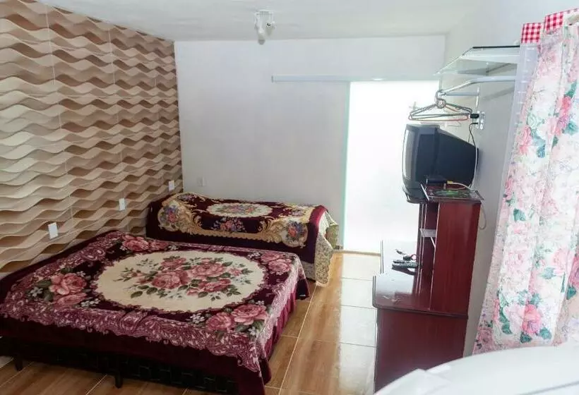 ペンション Recanto Das Videiras