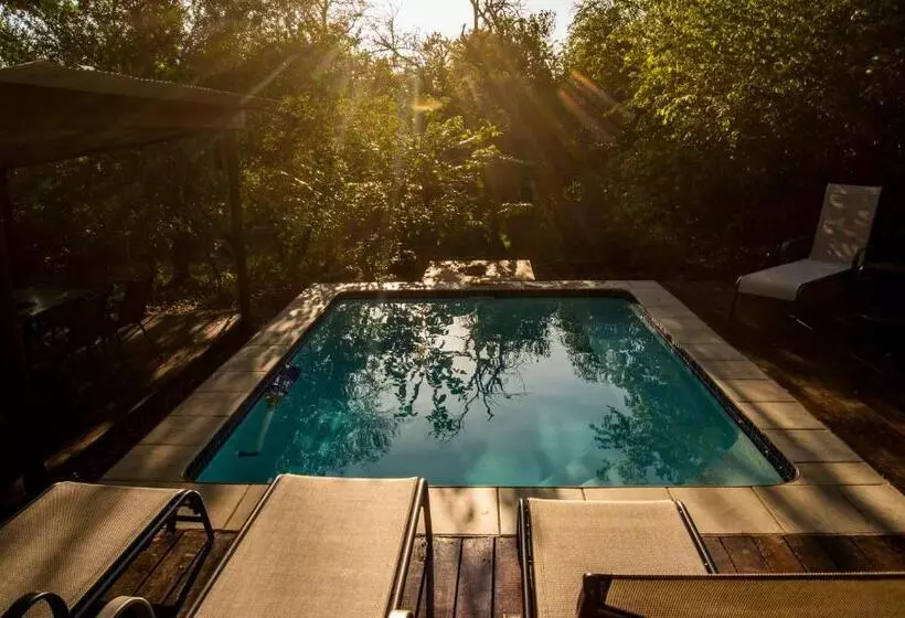 ペンション Thornforest Luxury Bush Lodge