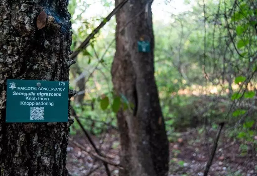 ペンション Thornforest Luxury Bush Lodge