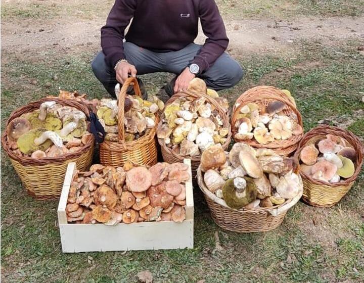 Aixopluc   Apartamento Centro Rio Ritort