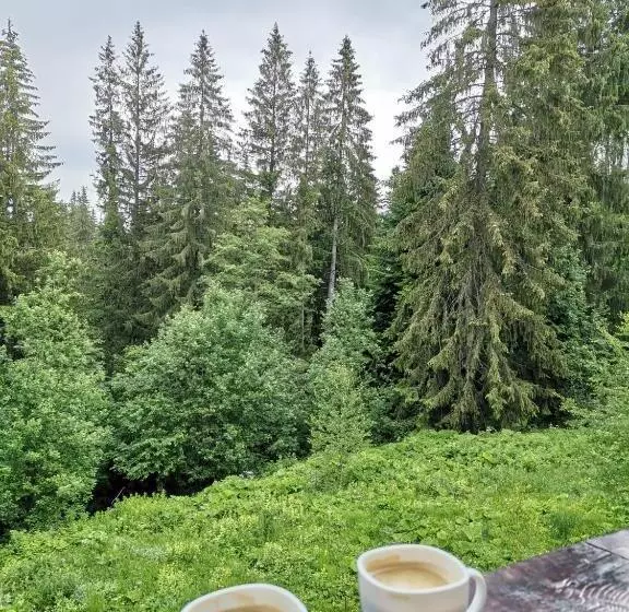 Antonia, Apartament Predeal