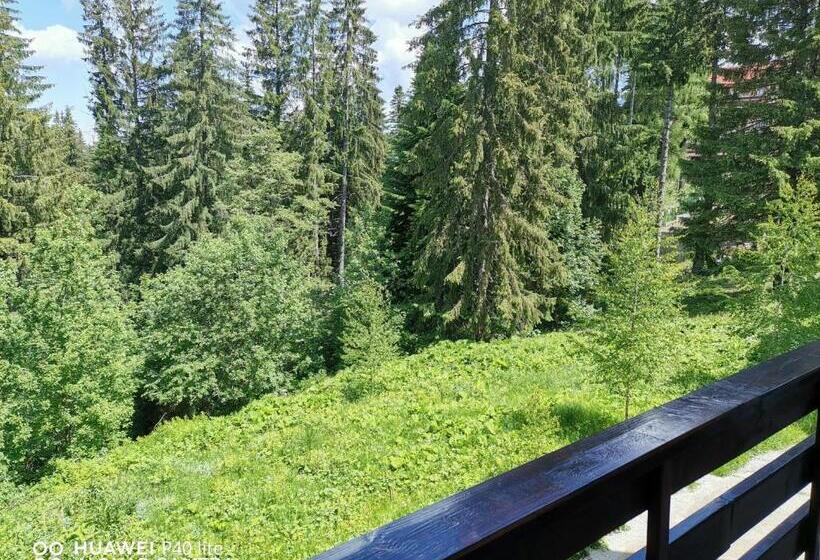 Antonia, Apartament Predeal