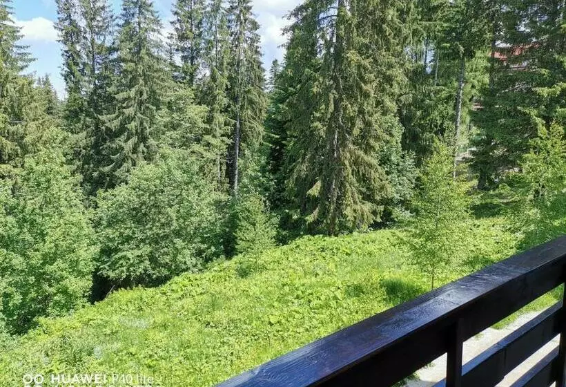 Antonia, Apartament Predeal