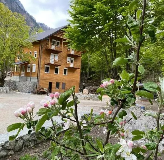 ペンション Adenisi Guesthouse