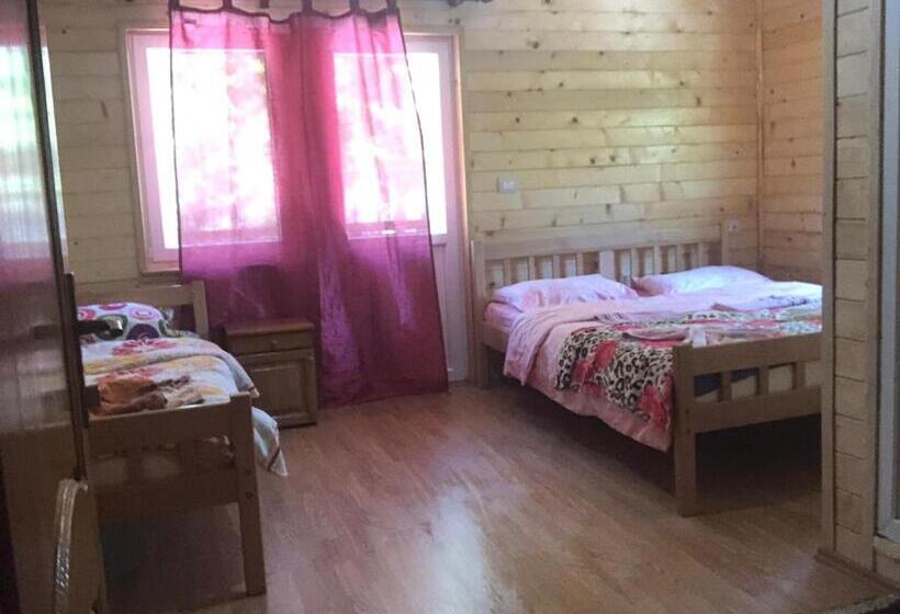 بنسيون Adenisi Guesthouse