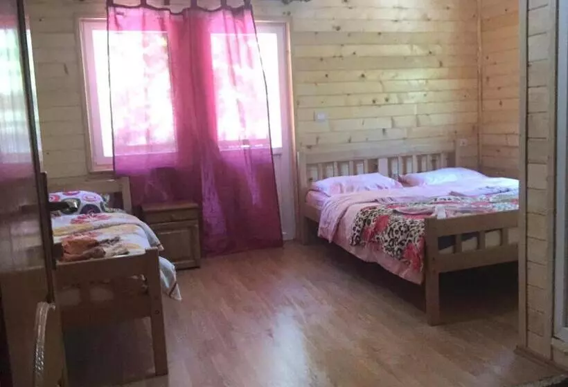 ペンション Adenisi Guesthouse