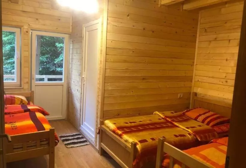 ペンション Adenisi Guesthouse