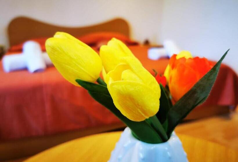 پانسیون Apartamente Vila Arcadia