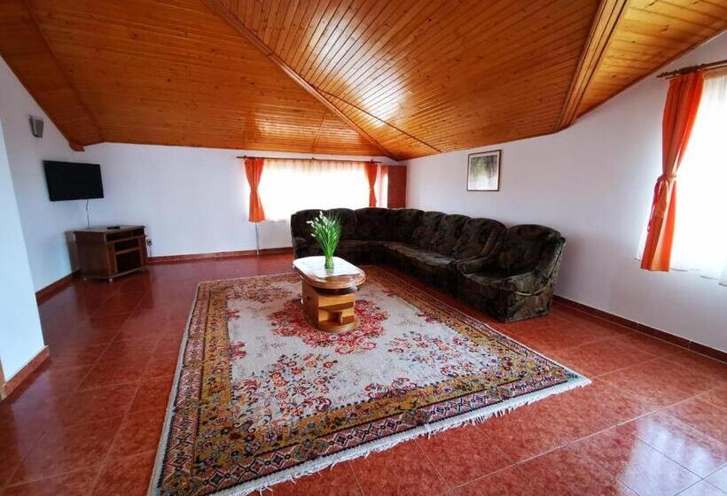 پانسیون Apartamente Vila Arcadia