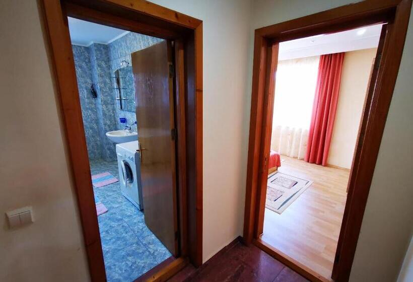 پانسیون Apartamente Vila Arcadia