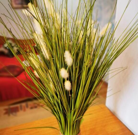 پانسیون Apartamente Vila Arcadia